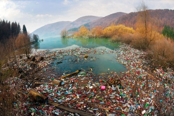 Природа на фоне мусора
