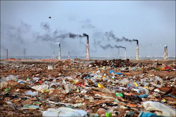 Экологические загрязнения