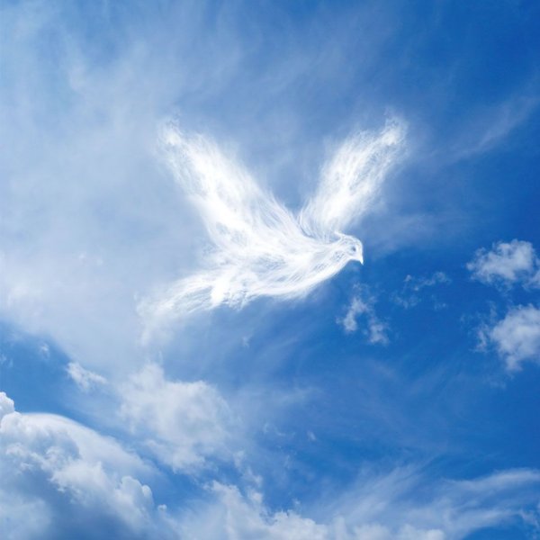 Облако в форме птицы
