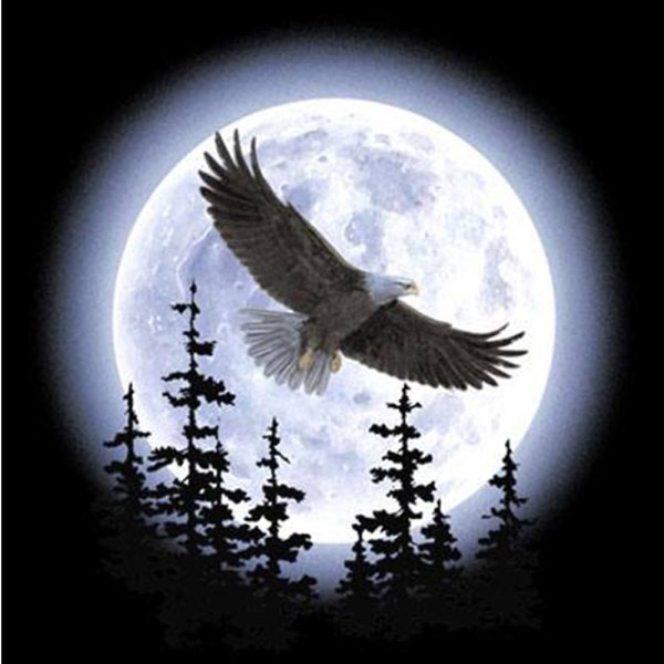Орел на фоне Луны