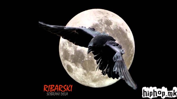 Чёрно белый ворон на фоне Луны