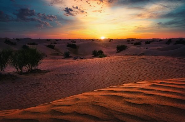 Пустыня на фоне заката