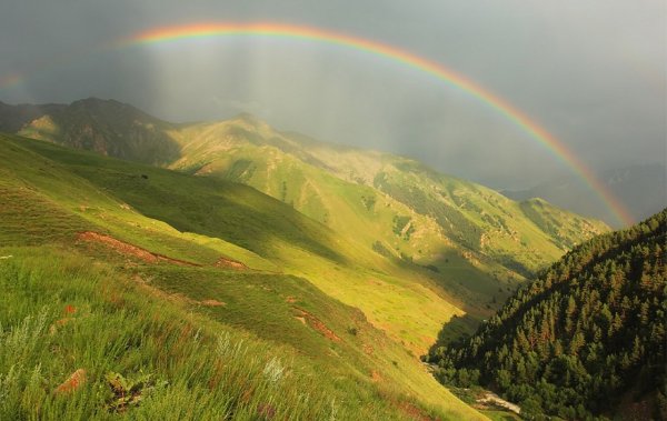Армения природа холмы