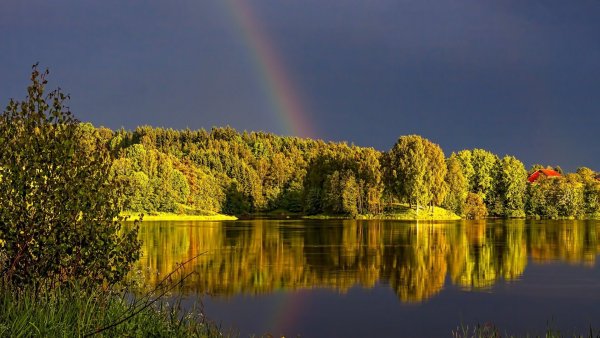 Белорусия Лесные озёра Радуга