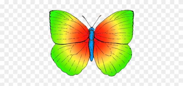 Радужные бабочки
