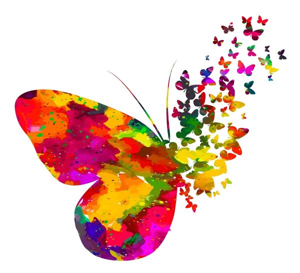 Разноцветные бабочки на белом фоне