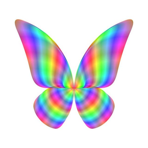 Радужную бабочку