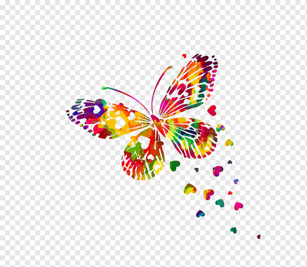 Яркие бабочки на белом фоне