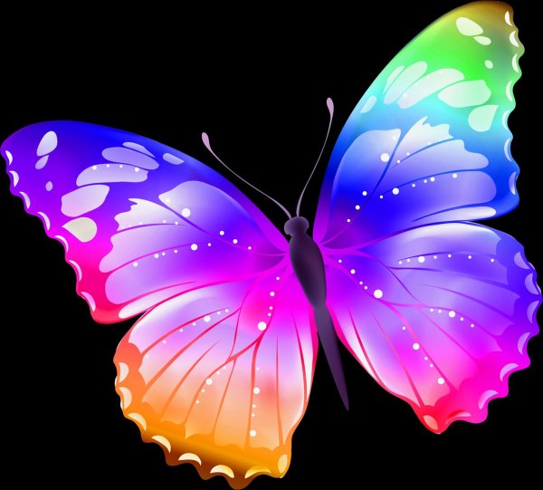 Бабочка с радужными крыльями