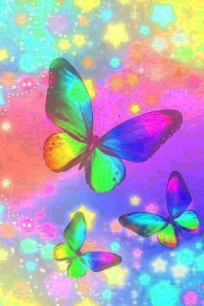 Бабочки цвета радуги