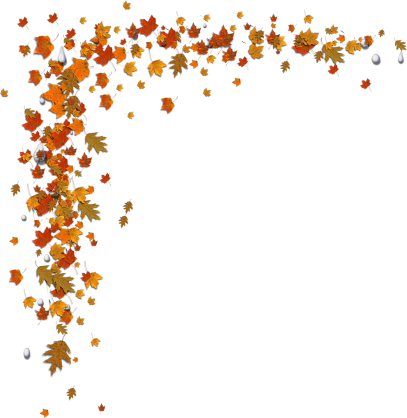 Осенние листья на прозрачном фоне