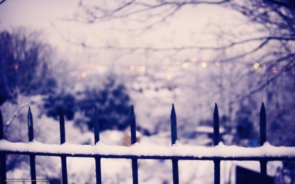Зимний пейзаж с забором