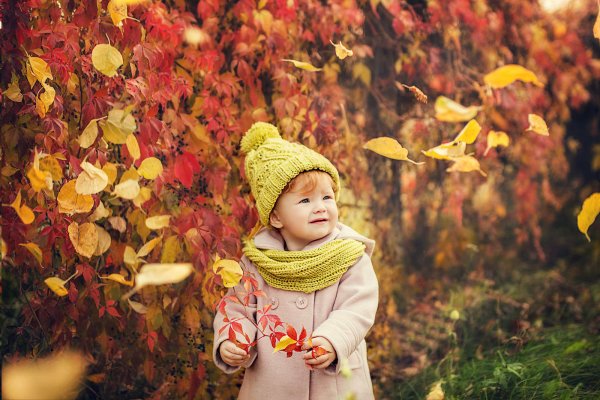 Осенний листопад для детей