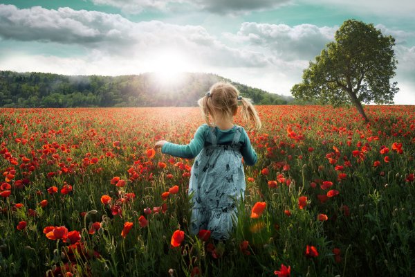 Ребенок на фоне цветов