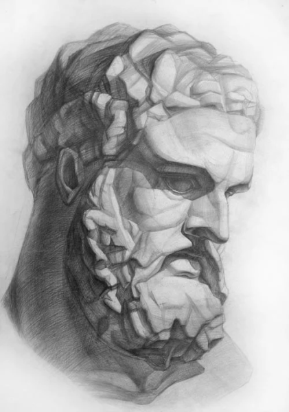 Голова Геракла Академический рисунок