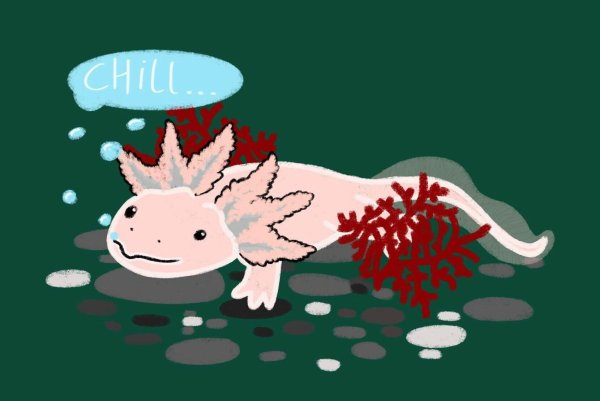 Axolotl дота 2