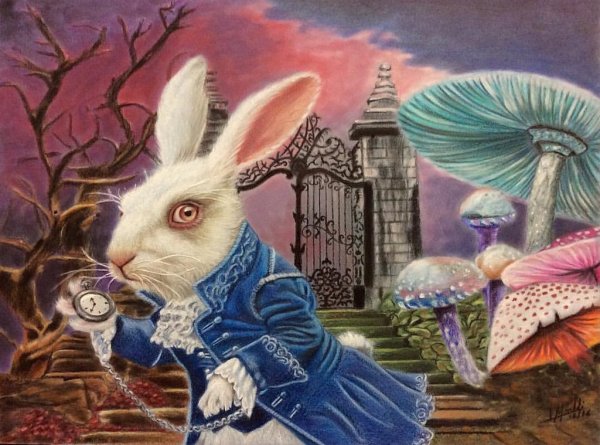Рисунки алиса бежит за кроликом