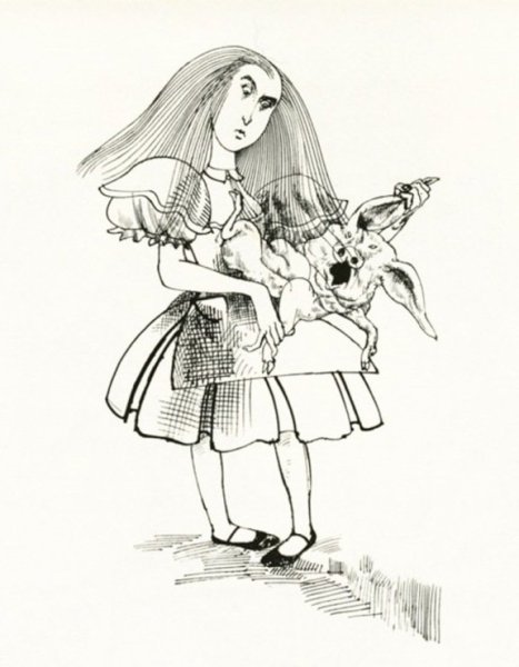 Кэрролл Алиса в Зазеркалье иллюстрации