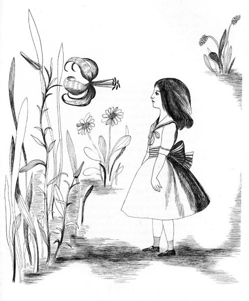 Иллюстрации к сказке Алиса в Зазеркалье