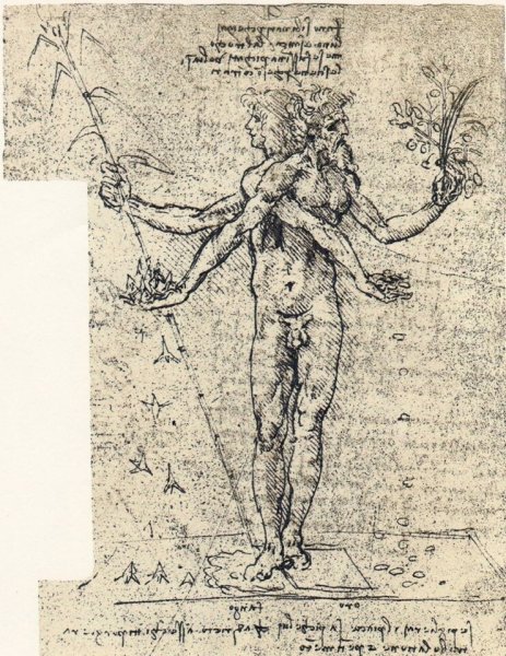 Леонардо да Винчи рисунок человека