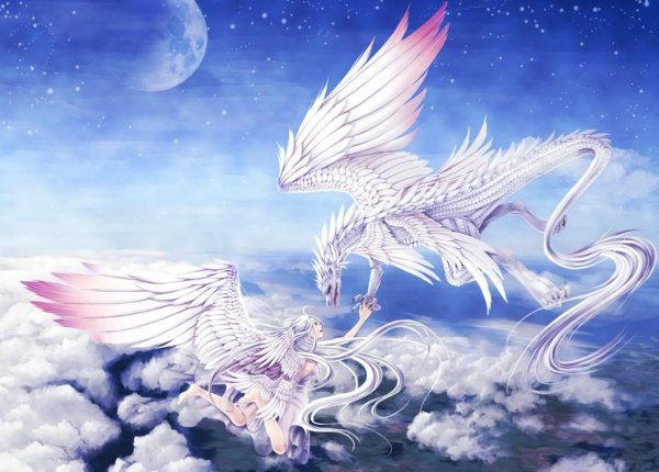 Белые Крылья дракона