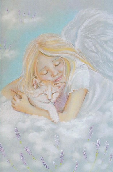 Аннет Логинова ангел. Кот