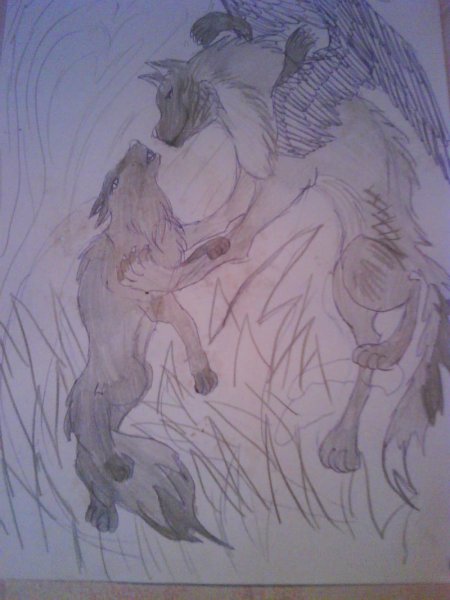 Ангел волк рисунок карандашом
