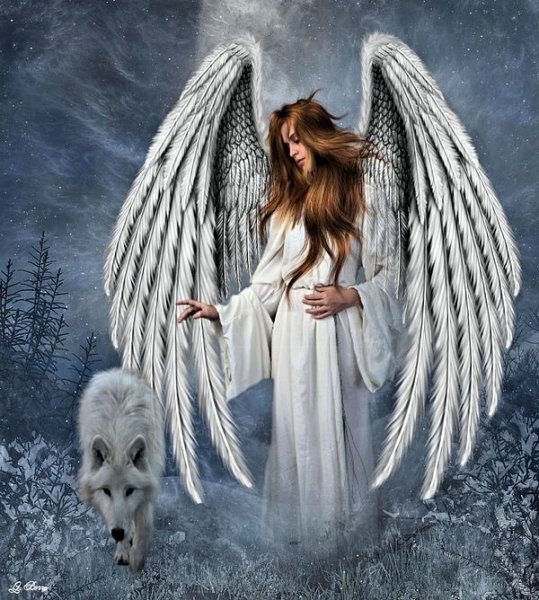 Девушка ангел и волк