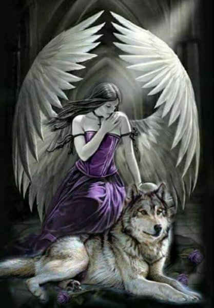 Волк ангел