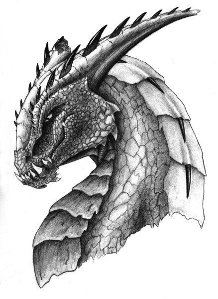 Рисунки английского дракона