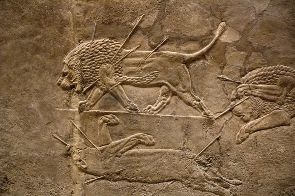 Раненный Лев. Рельеф из дворца Ашшурбанипала в Ниневии.