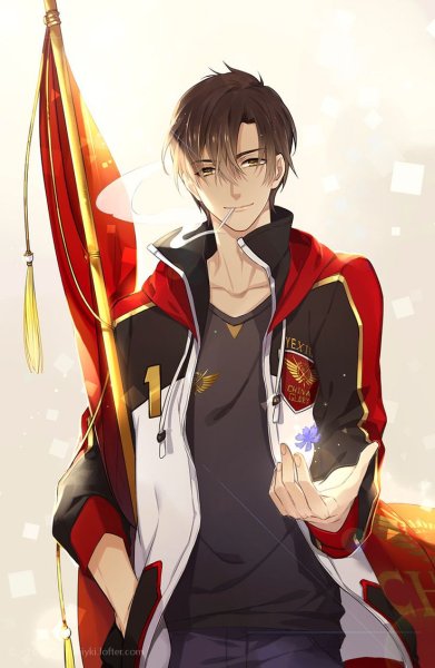 Аватар короля / Quanzhi Gaoshou