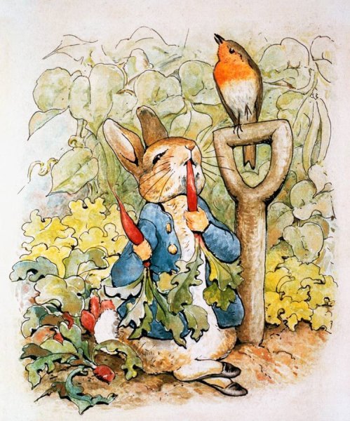 Кролик Питер рисунки Беатрис Поттер