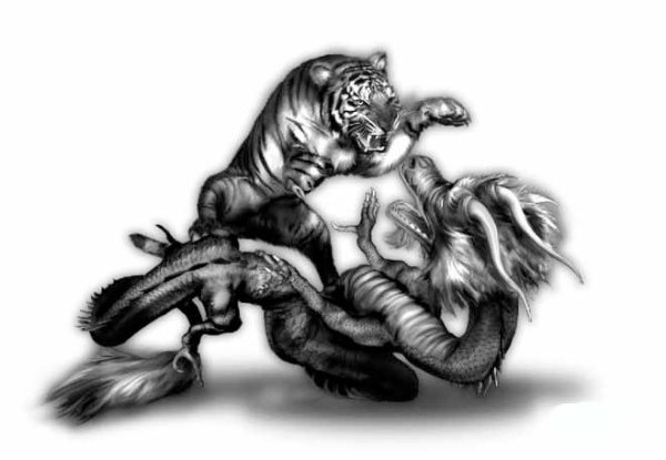 Тигр против дракона тату