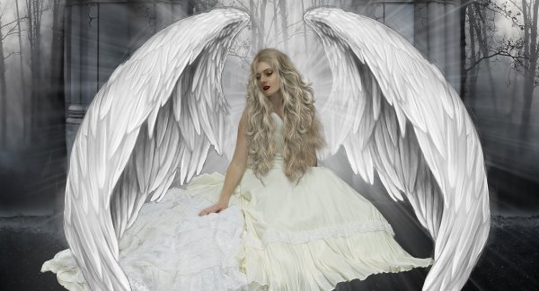Самонастройка Крылья ангела