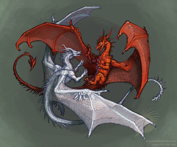 Красно белый дракон