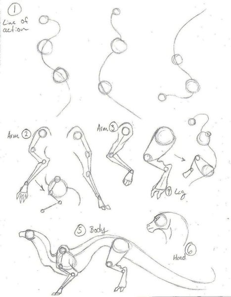 Анатомия дракона для рисования