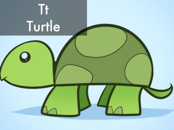 Рисунки черепахи из майнкрафта
