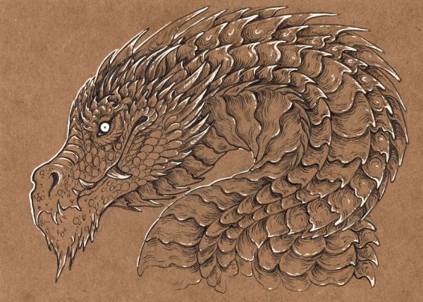 Рисунки чешуя дракона