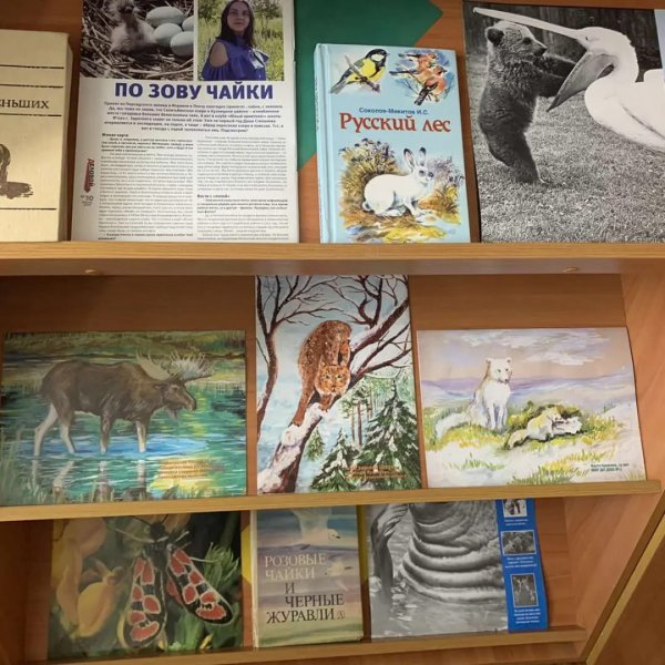 Выставка ко Дню дикой природы в библиотеке