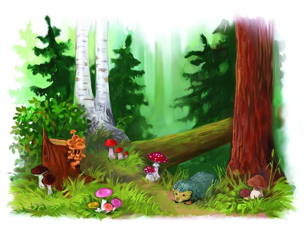 Лес рисунок для детей