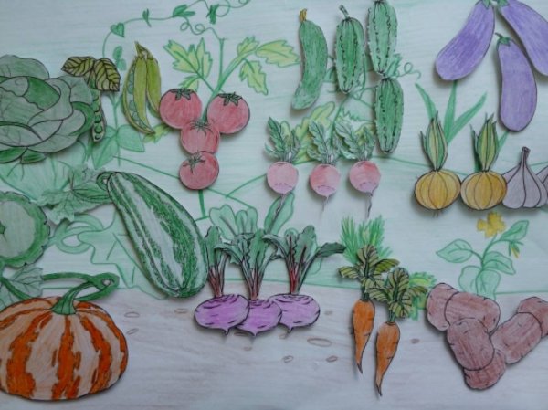 Рисование овощи на грядке