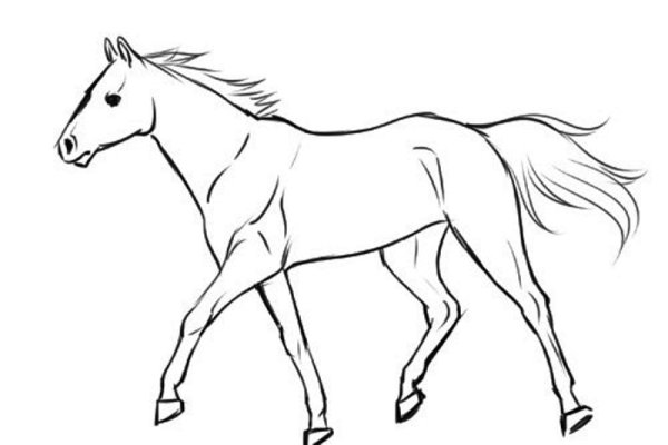Рисунок коня карандашом для срисовки