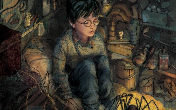 Гарри Поттер и философский камень иллюстрации