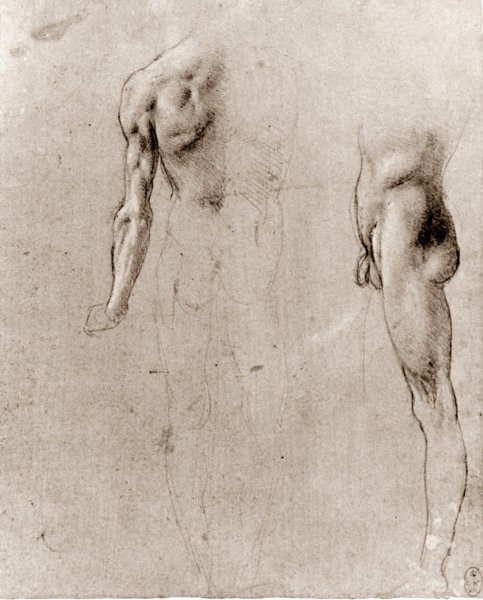Леонардо да Винчи фигура человека