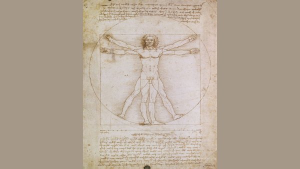 Золотое сечение Леонардо да Винчи пропорции