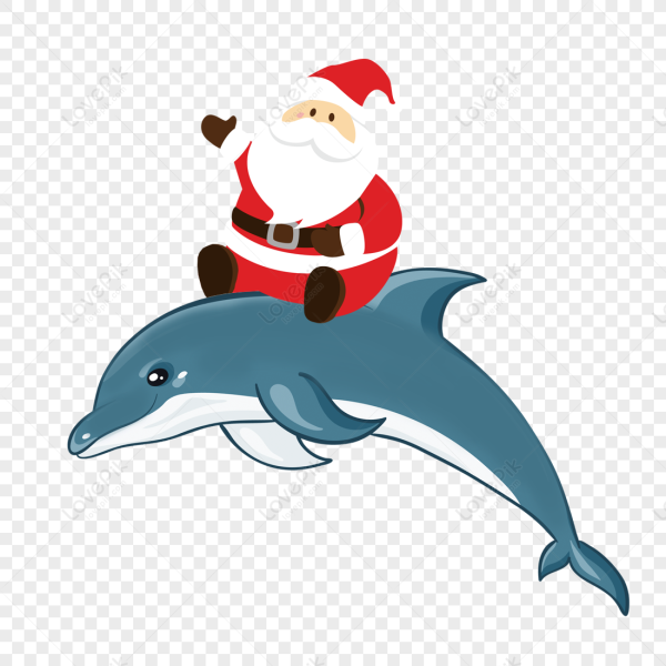 Дельфины новый год