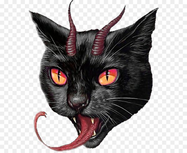 Черный кот дьявол