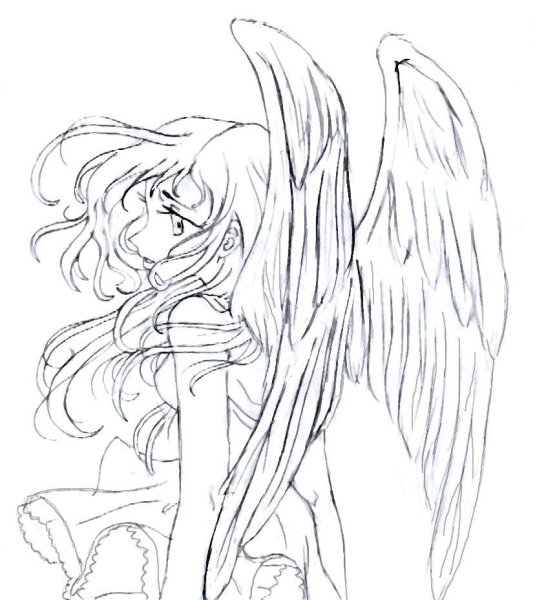 Раскраски аниме ангелы