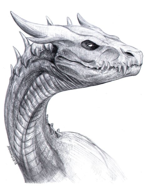 Рисунки детальный дракона